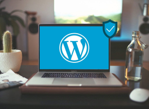 wordpress-image